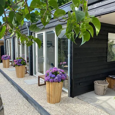 B&B Bij tante Teun-2